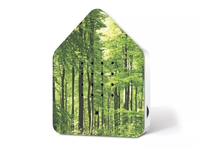 Relaxound Zwitscherbox Forest Wald grün